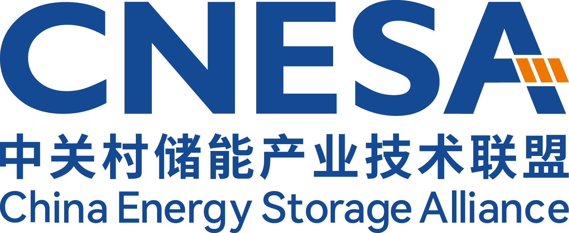 cnesa logo v2